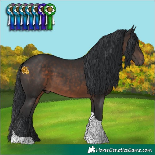 Horse Color:Brown Tobiano 