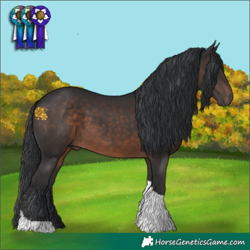 Horse Color:Brown Tobiano 