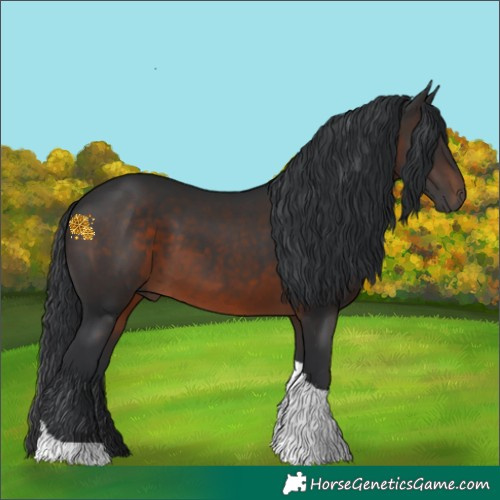 Horse Color:Brown Tobiano 