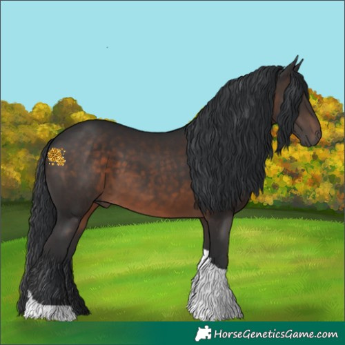 Horse Color:Brown Tobiano 