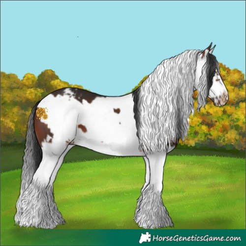 Horse Color:White Spotted Brown Splash Frame Blanket 