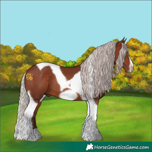 Horse Color:Chocolate Silver Brown Tobiano Frame Rabicano 