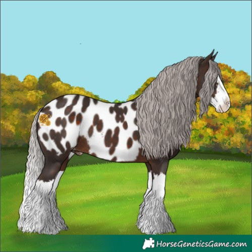 Horse Color:White Spotted Silver Brown Splash Appaloosa 