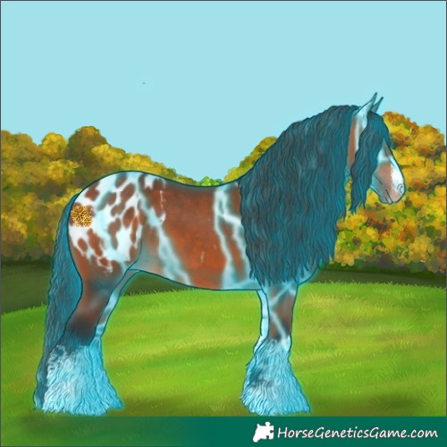 Horse Color:Thunderstruck White Spotted Bay Blanket 
