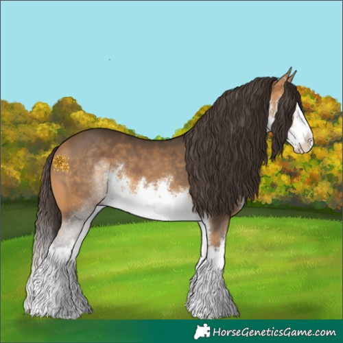 Horse Color:White Spotted Buckskin Splash 