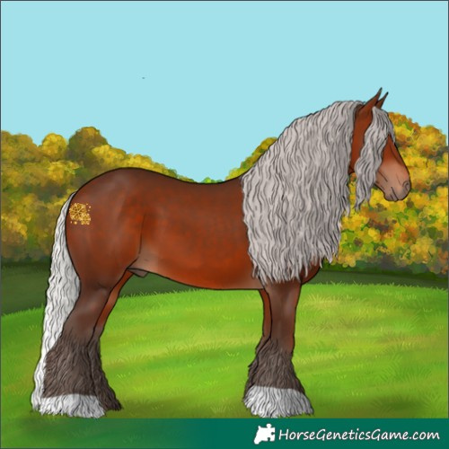 Horse Color:Silver Bay 