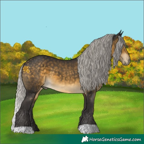 Horse Color:Silver Buckskin 