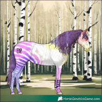 Horse Color:Painted Amber Champagne Dun Sabino Tobiano Snowcap 