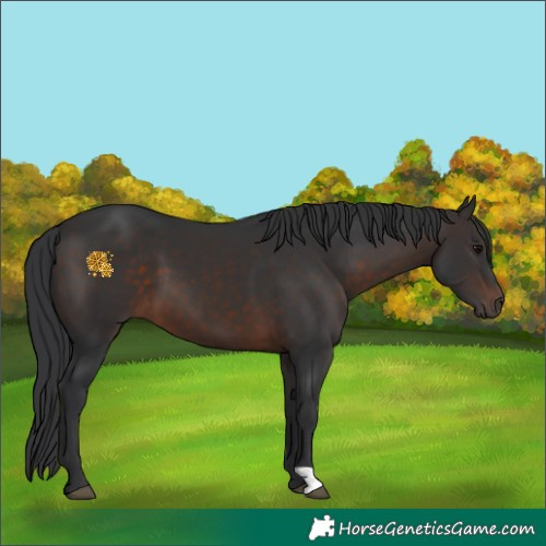 Horse Color:Brown 
