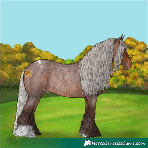 Horse Color:Silver Brown Roan Appaloosa Rabicano 
