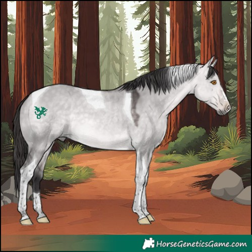 Horse Color:Platinum Buckskin Dun Tobiano 