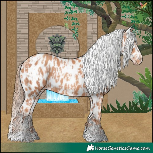 Horse Color:Gold Champagne Appaloosa  and Gold Champagne Appaloosa 