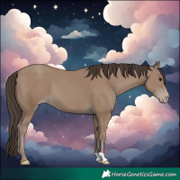 Horse Color:Classic Champagne 