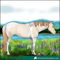 Horse Color:Smoky Grullo Pearl Tobiano Appaloosa Rabicano 