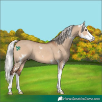 Horse Color:Silver Brown Dun Sabino 