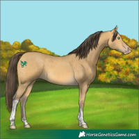 Horse Color:Sable Cream Champagne Tobiano 