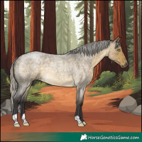 Horse Color:Silver Buckskin Roan Dun Mushroom Rabicano 