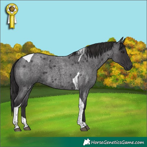 Horse Color:Platinum Smoky Blue Roan Tobiano 