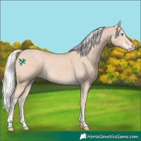 Horse Color:Silver Perlino 