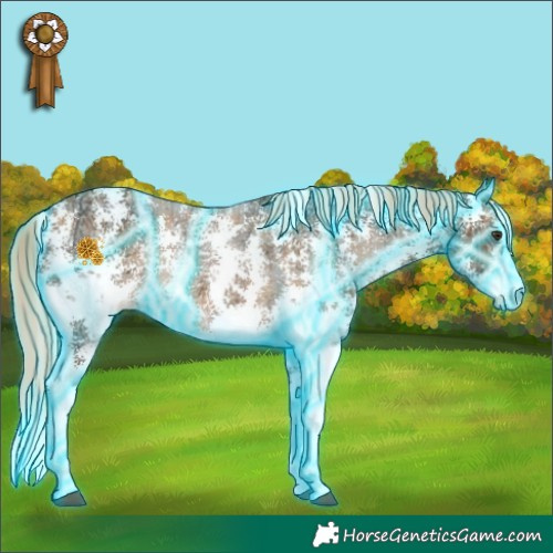 Horse Color:Thunderstruck Plaid  Chestnut Ice Sabino 