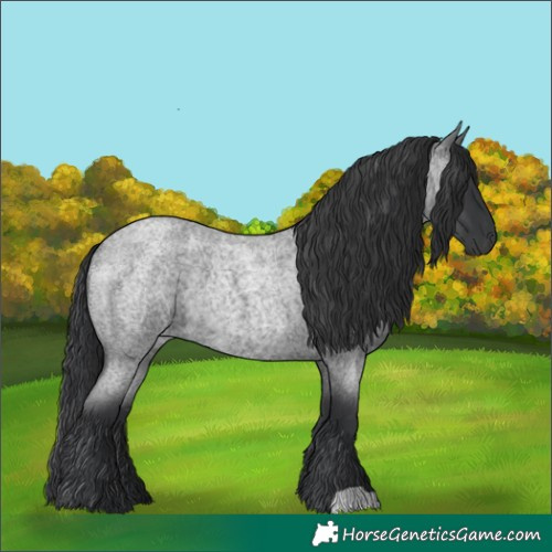 Horse Color:Blue Roan Rabicano 