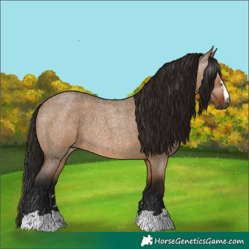 Horse Color:Gray Bay Roan Dun 