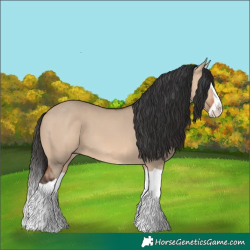 Horse Color:Bay Dun Splash 