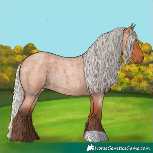 Horse Color:Silver Bay Roan