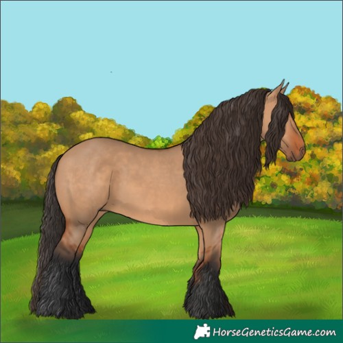 Horse Color:Bay Dun
