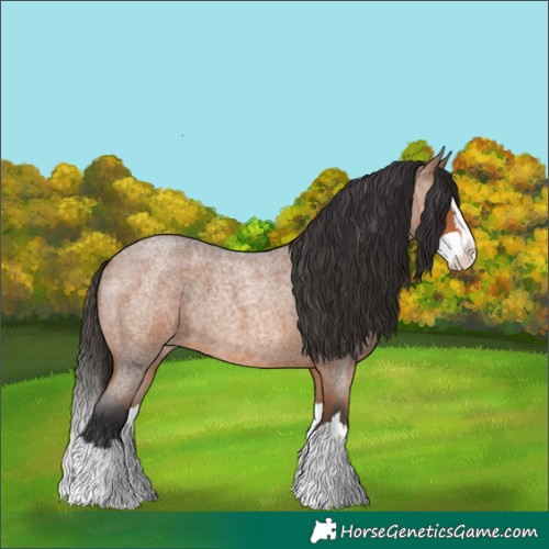 Horse Color:Bay Roan Splash 