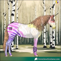 Horse Color:Amber Champagne Pearl Sabino Appaloosa 