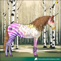 Horse Color:Bay Pearl Sabino Appaloosa