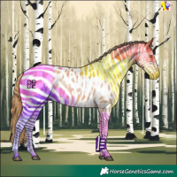 Horse Color:Bay Pearl Sabino Appaloosa