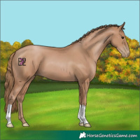 Horse Color:Black Pearl