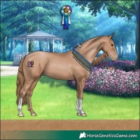 Horse Color:Black Pearl 