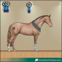 Horse Color:Black Pearl