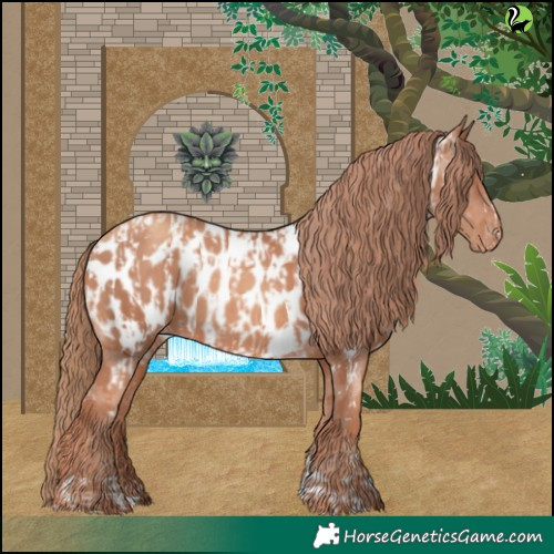 Horse Color:Gold Champagne Appaloosa  and Gold Champagne Appaloosa 