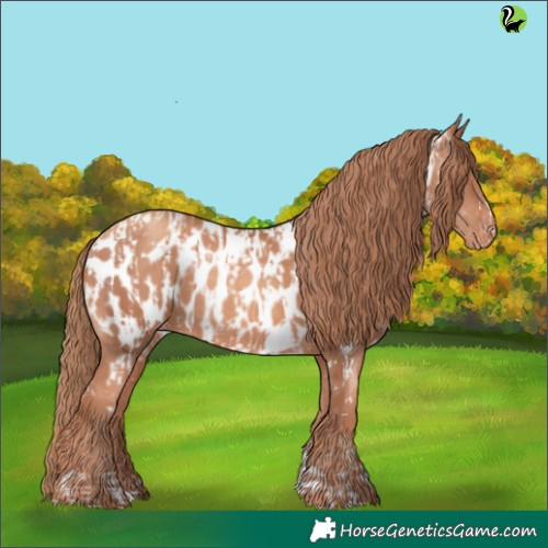 Horse Color:Gold Champagne Appaloosa  and Gold Champagne Appaloosa 