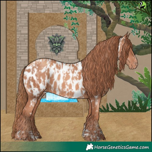 Horse Color:Gold Champagne Near Leopard  and Gold Champagne Near Leopard 