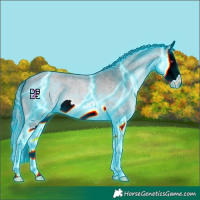 Horse Color:Thunderstruck Bay Chinchilla Roan Splash 