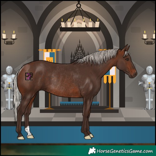 Horse Color:Silver Brown Rabicano