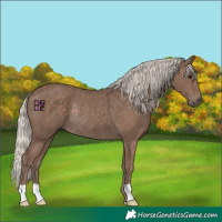Horse Color:Silver Black Rabicano 