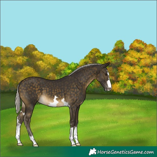 Horse Color:Silver Buckskin 