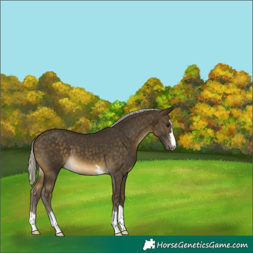 Horse Color:Silver Buckskin 