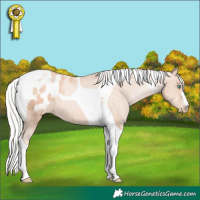 Horse Color:Silver Sable Champagne Pearl Tobiano Appaloosa 