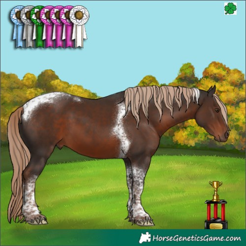 Horse Color:Liver Chestnut Tobiano 
