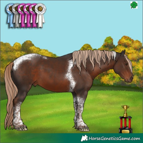 Horse Color:Liver Chestnut Tobiano 