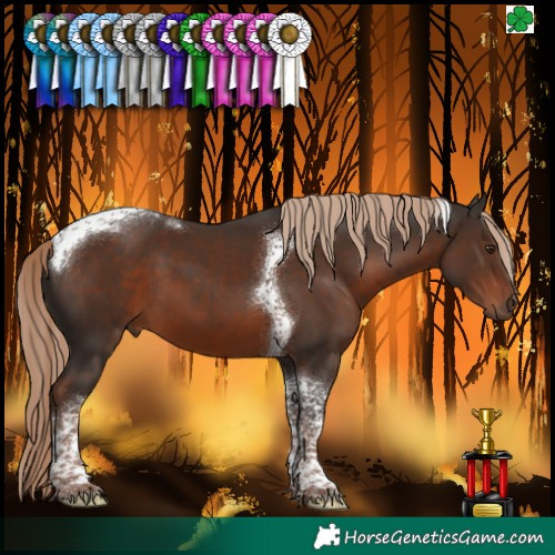Horse Color:Liver Chestnut Tobiano 