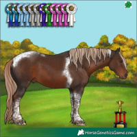 Horse Color:Liver Chestnut Tobiano 
