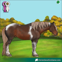 Horse Color:Liver Chestnut Tobiano 
